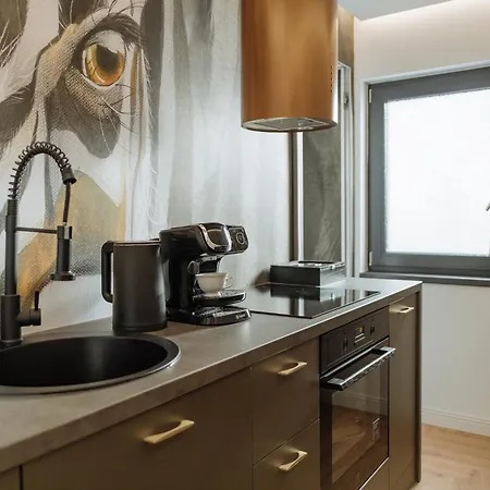 Cr Vibe Decebal Center * Bükreş