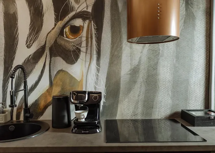 Cr Vibe Decebal Center Apartman