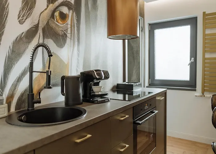 Cr Vibe Decebal Center * Bukarest