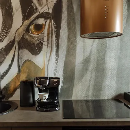 Cr Vibe Decebal Center Appartamento