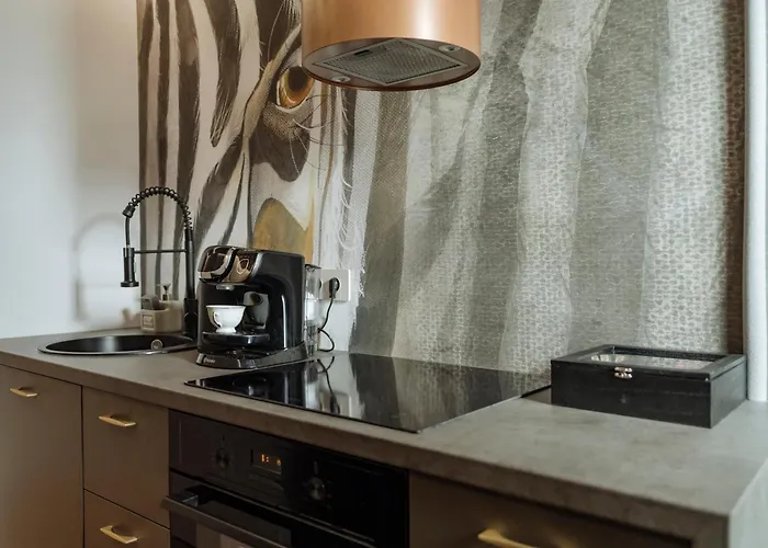 Cr Vibe Decebal Center Apartament Bucureşti