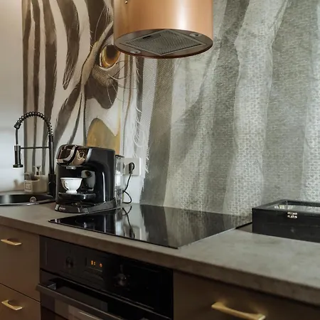 Cr Vibe Decebal Center Apartman Bukarest